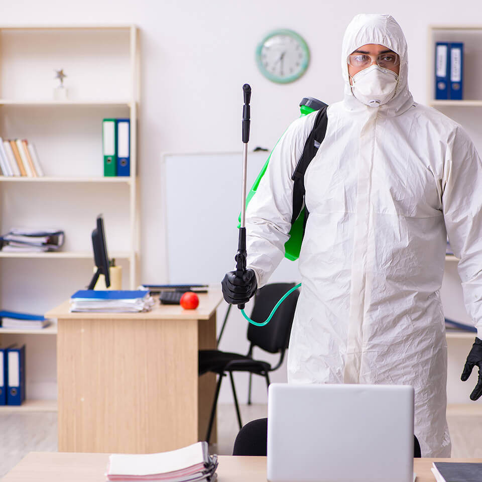 Disinfection Services Disinfection Services